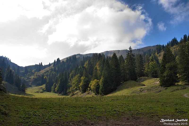 Bernhard Saalfeld - Am Hochgrat